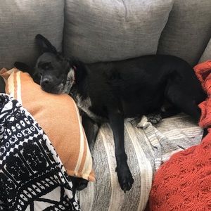 Meet your Posher, Carolyn